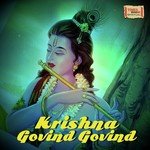 Krishna Govind Govind - Salim-Sulaiman Song Download
